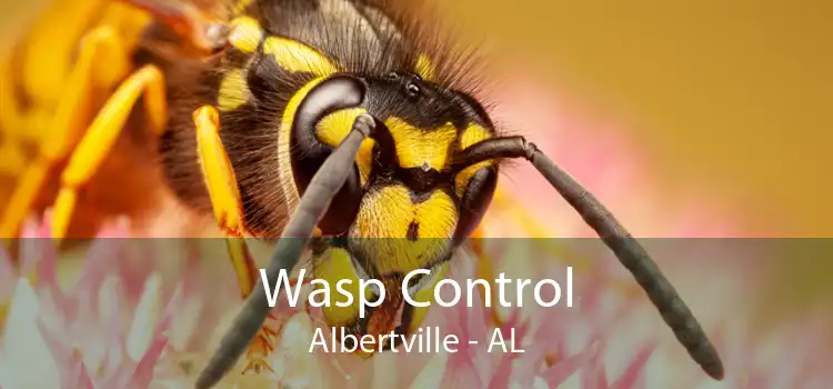 Wasp Control Albertville - AL