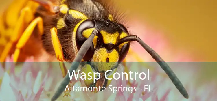 Wasp Control Altamonte Springs - FL