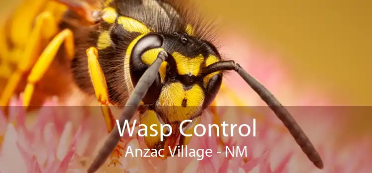 Wasp Control Anzac Village - NM