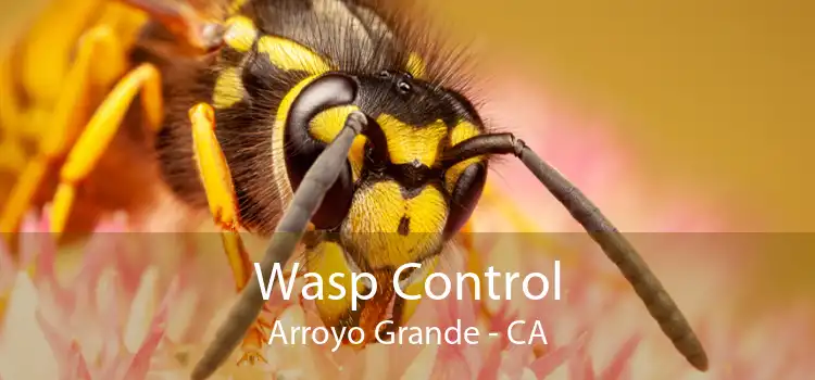 Wasp Control Arroyo Grande - CA