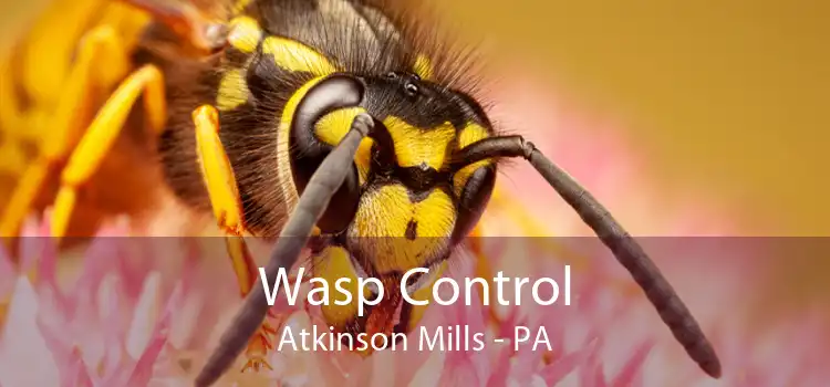 Wasp Control Atkinson Mills - PA