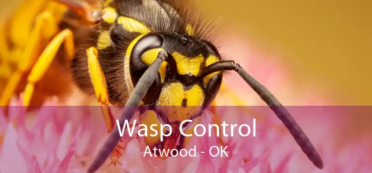 Wasp Control Atwood - OK