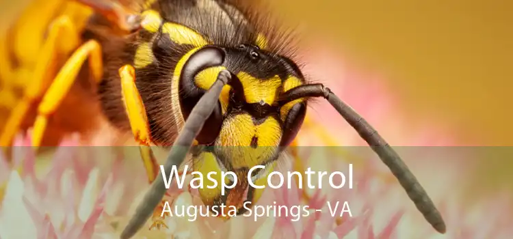 Wasp Control Augusta Springs - VA