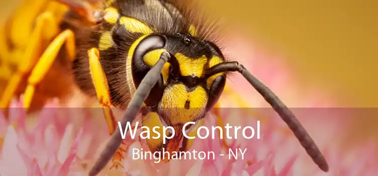 Wasp Control Binghamton - NY