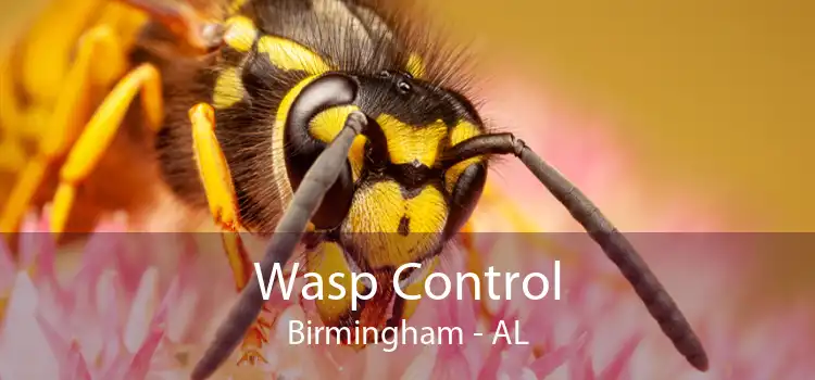 Wasp Control Birmingham - AL