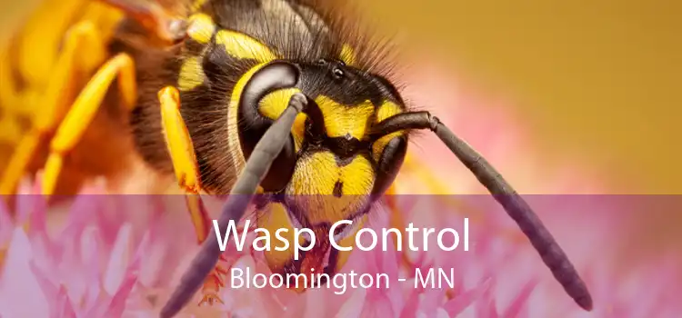 Wasp Control Bloomington - MN