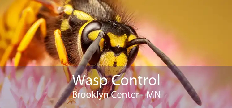 Wasp Control Brooklyn Center - MN