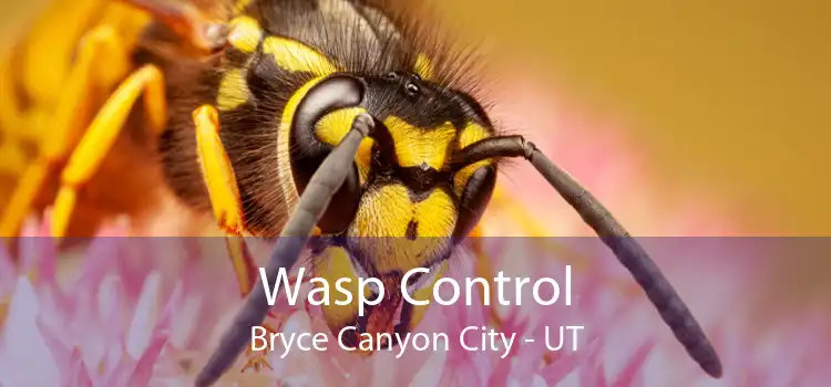 Wasp Control Bryce Canyon City - UT