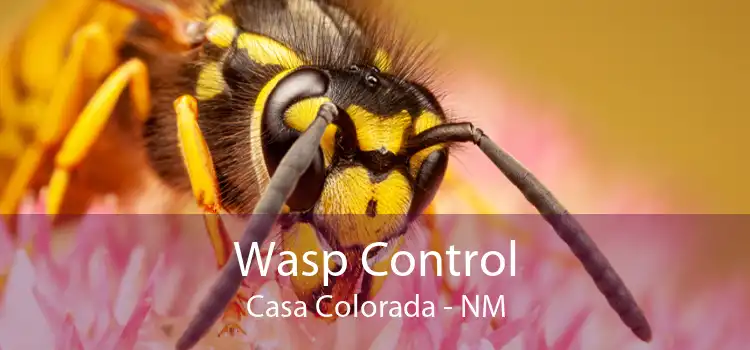 Wasp Control Casa Colorada - NM