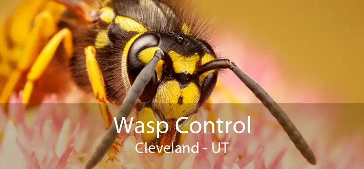 Wasp Control Cleveland - UT