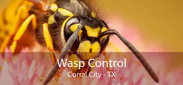 Wasp Control Corral City - TX