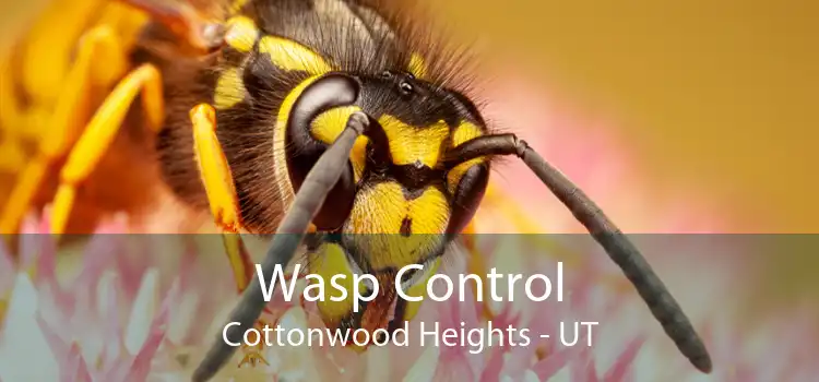 Wasp Control Cottonwood Heights - UT