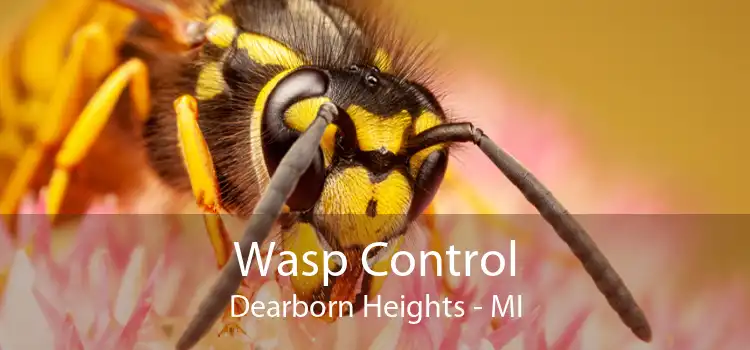 Wasp Control Dearborn Heights - MI