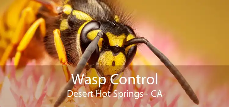 Wasp Control Desert Hot Springs - CA