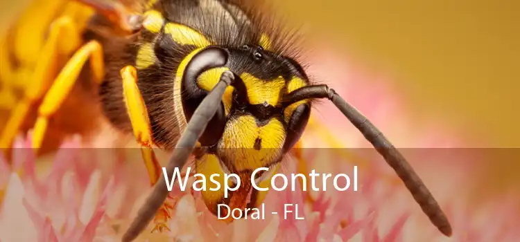 Wasp Control Doral - FL