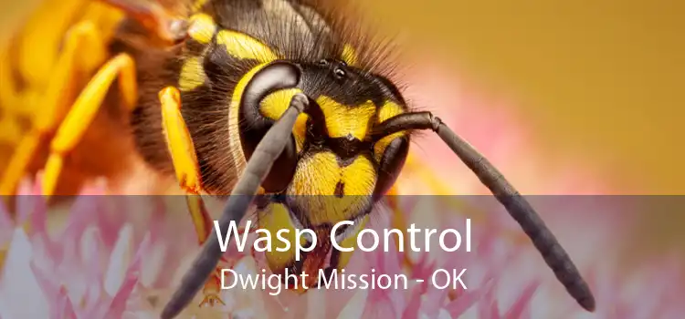 Wasp Control Dwight Mission - OK