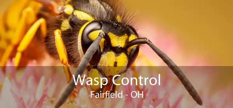 Wasp Control Fairfield - OH