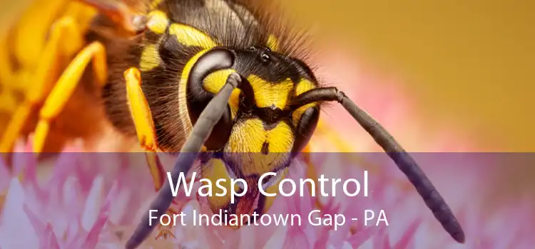 Wasp Control Fort Indiantown Gap - PA