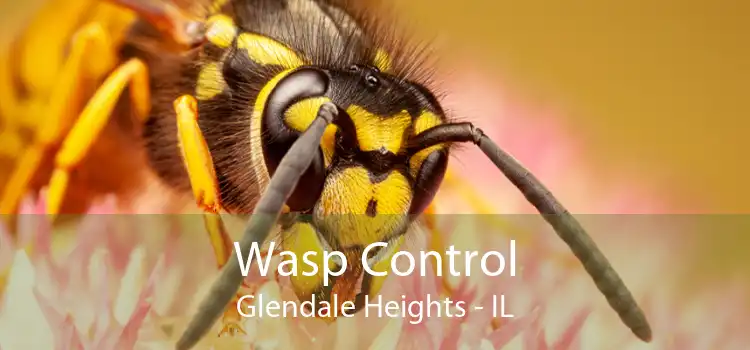 Wasp Control Glendale Heights - IL