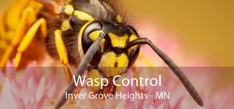 Wasp Control Inver Grove Heights - MN