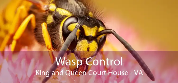 Wasp Control King and Queen Court House - VA