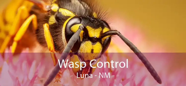 Wasp Control Luna - NM