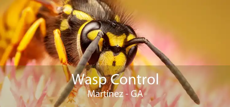 Wasp Control Martinez - GA