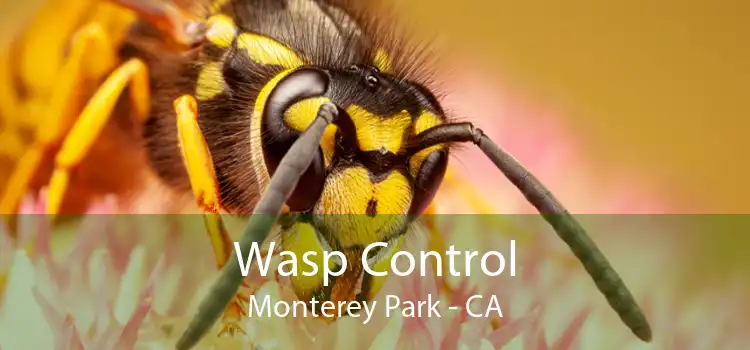 Wasp Control Monterey Park - CA