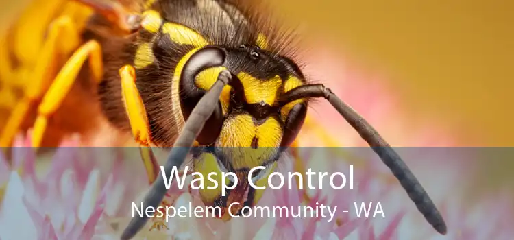 Wasp Control Nespelem Community - WA