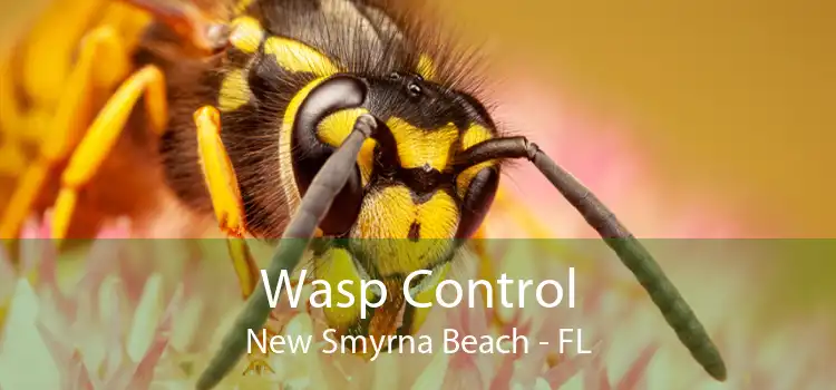 Wasp Control New Smyrna Beach - FL