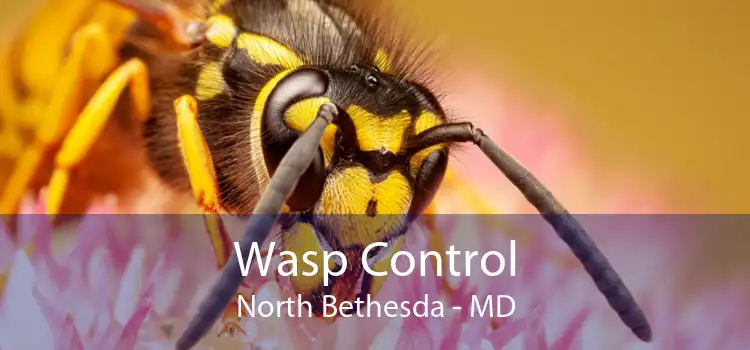 Wasp Control North Bethesda - MD