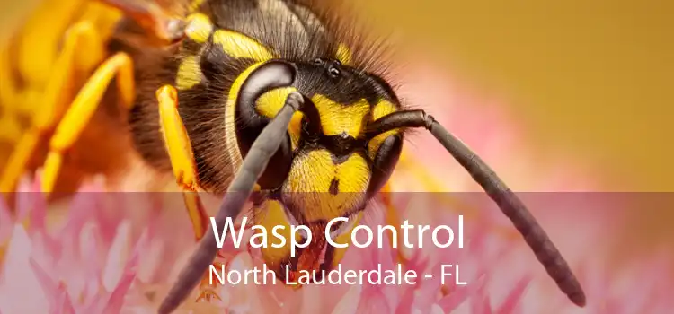 Wasp Control North Lauderdale - FL