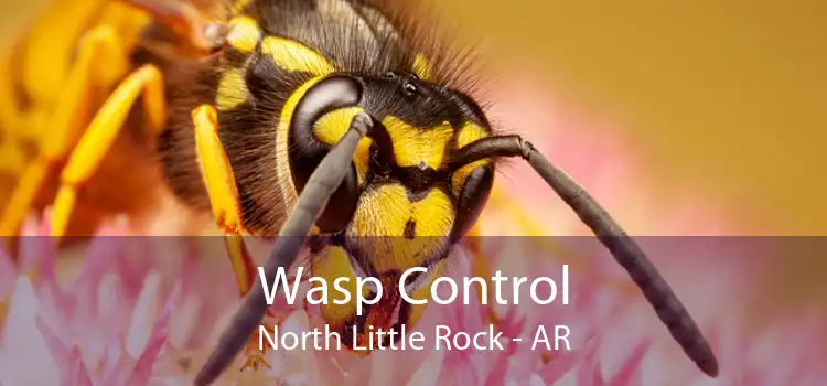 Wasp Control North Little Rock - AR