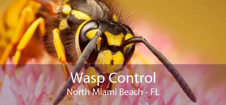 Wasp Control North Miami Beach - FL