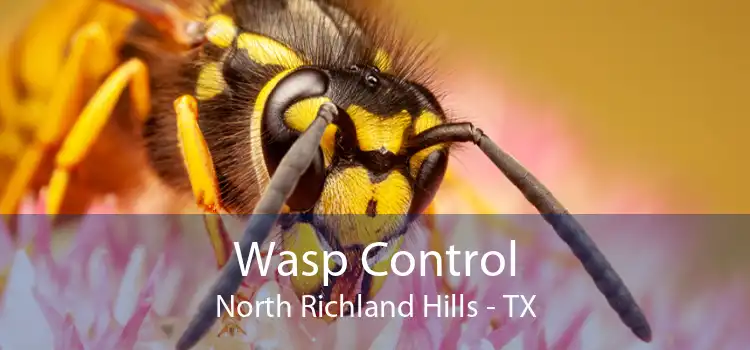 Wasp Control North Richland Hills - TX