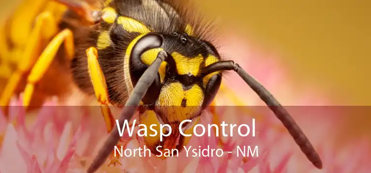 Wasp Control North San Ysidro - NM