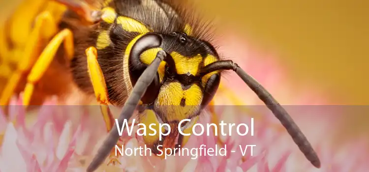 Wasp Control North Springfield - VT