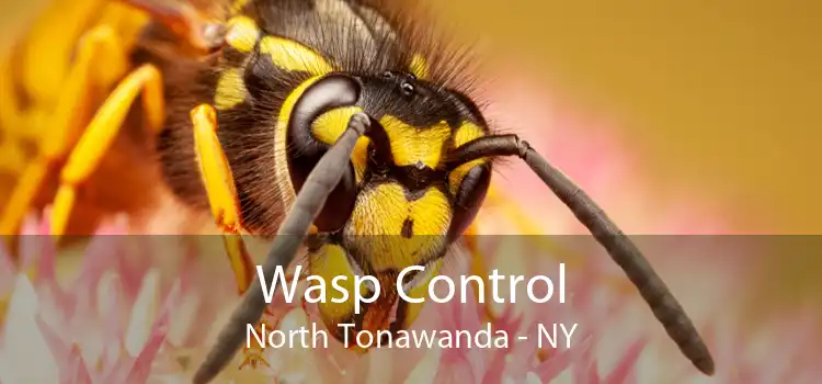 Wasp Control North Tonawanda - NY