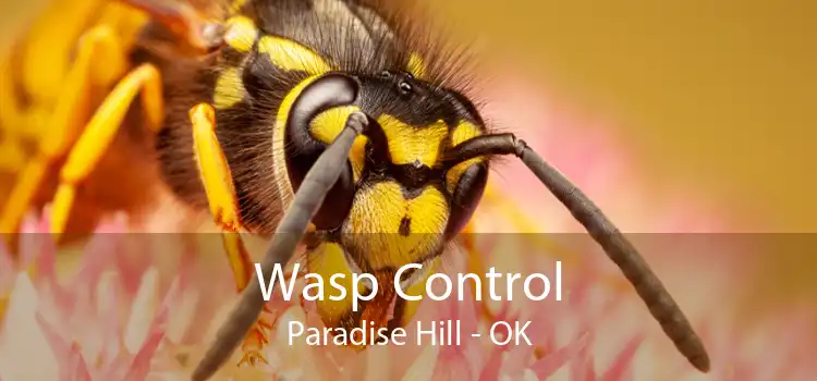 Wasp Control Paradise Hill - OK