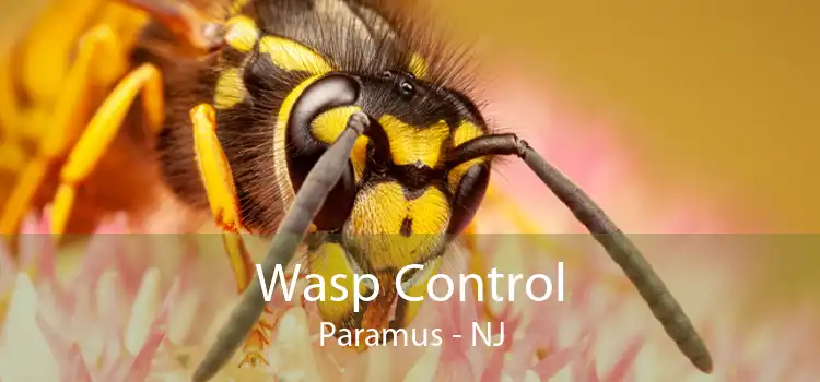 Wasp Control Paramus - NJ