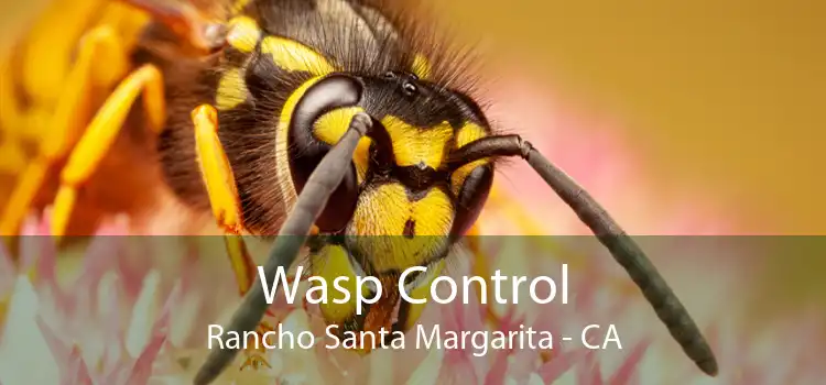 Wasp Control Rancho Santa Margarita - CA