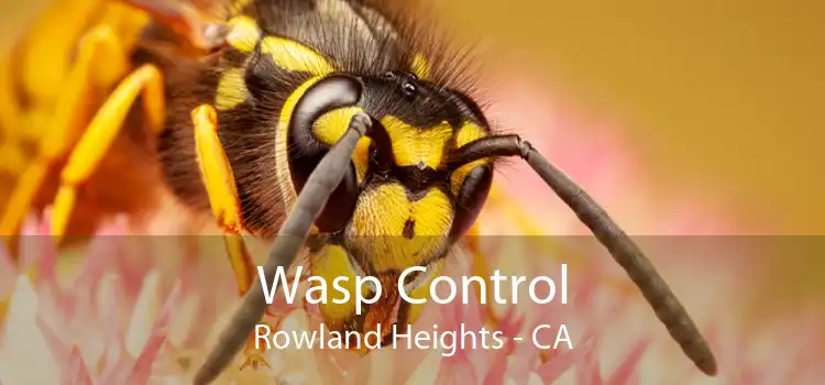 Wasp Control Rowland Heights - CA