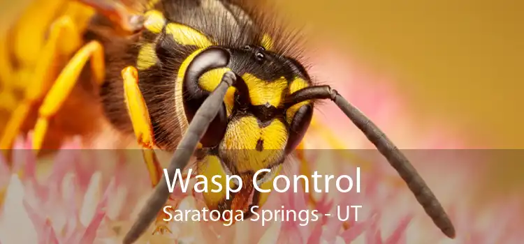 Wasp Control Saratoga Springs - UT