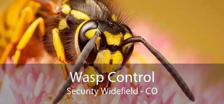 Wasp Control Security Widefield - CO