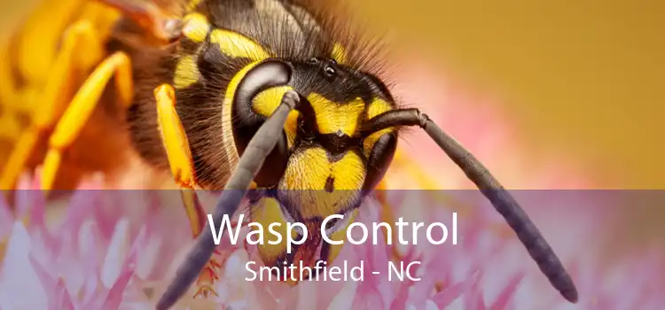 Wasp Control Smithfield - NC