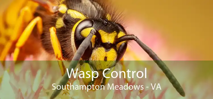 Wasp Control Southampton Meadows - VA