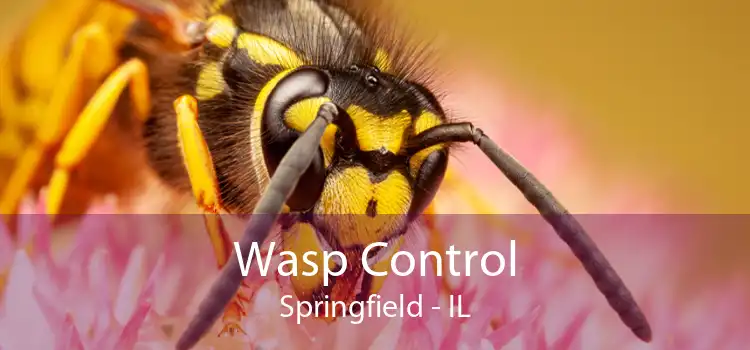 Wasp Control Springfield - IL