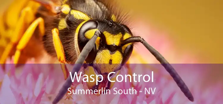 Wasp Control Summerlin South - NV