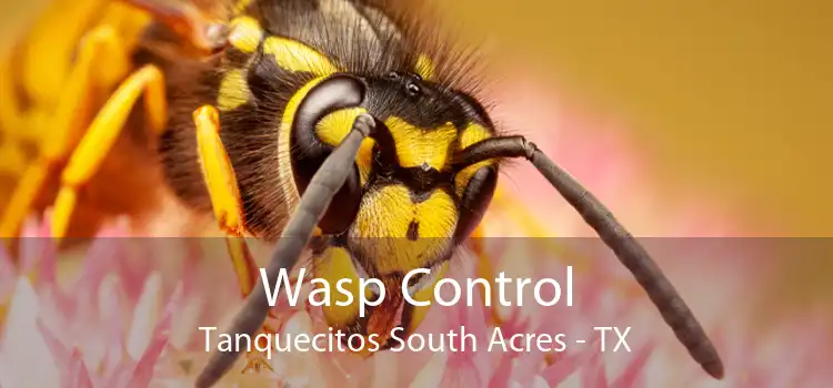 Wasp Control Tanquecitos South Acres - TX