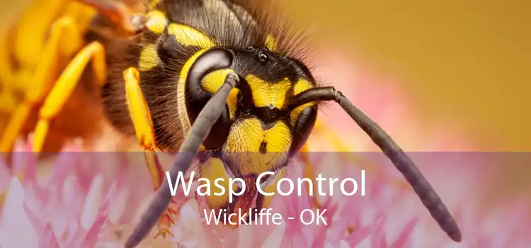 Wasp Control Wickliffe - OK